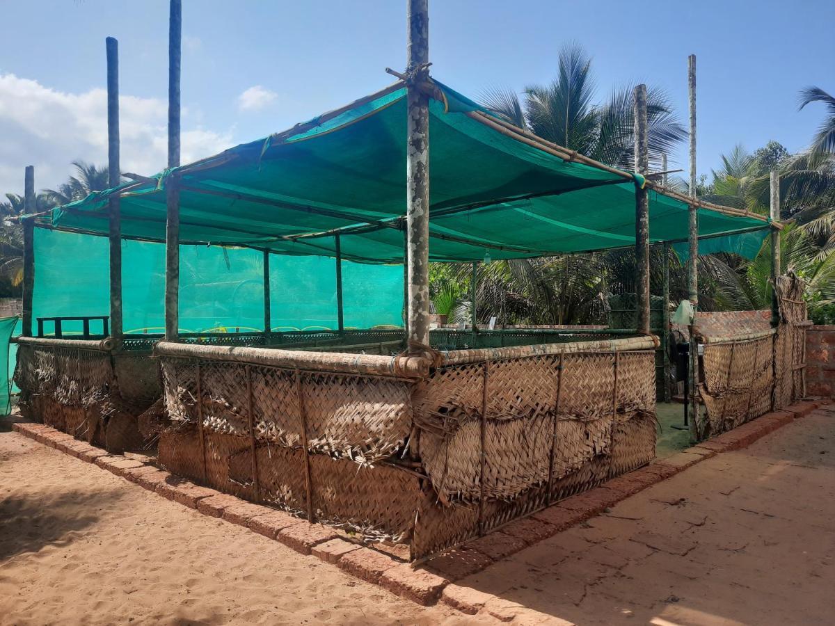 Raapan Beach Resort Malvan Exterior photo